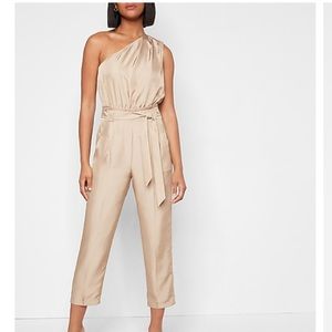 Express Draped One Shoulder Jumpsuit